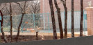 rodgersironfinal009020.jpg